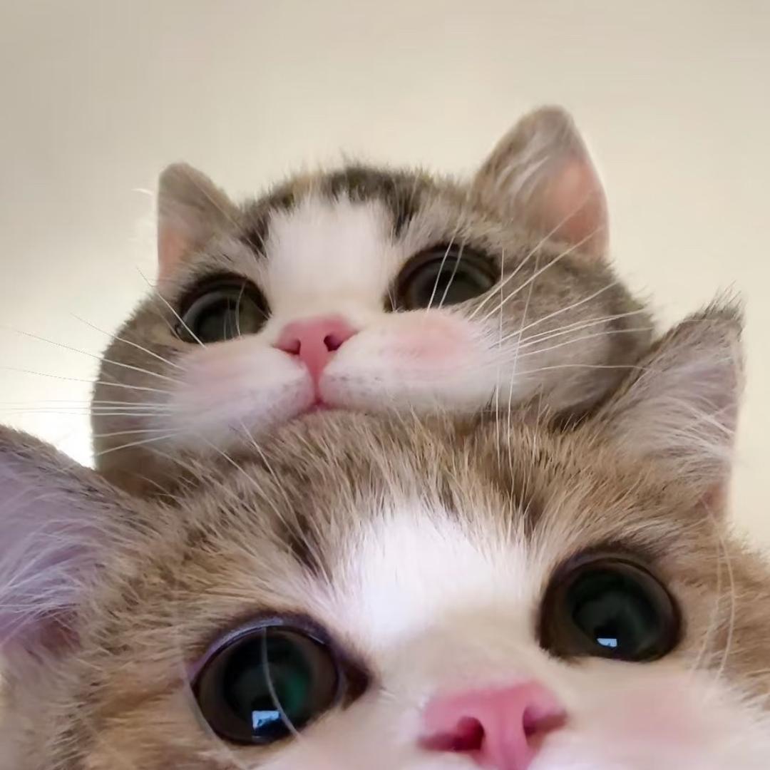 𝟱𝙪