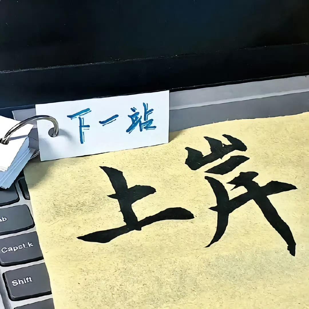 猫十一