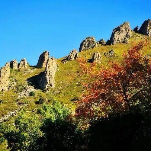 云雾山52823
