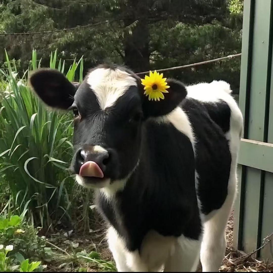 再惹我我就生吃迈腊肌颓宝