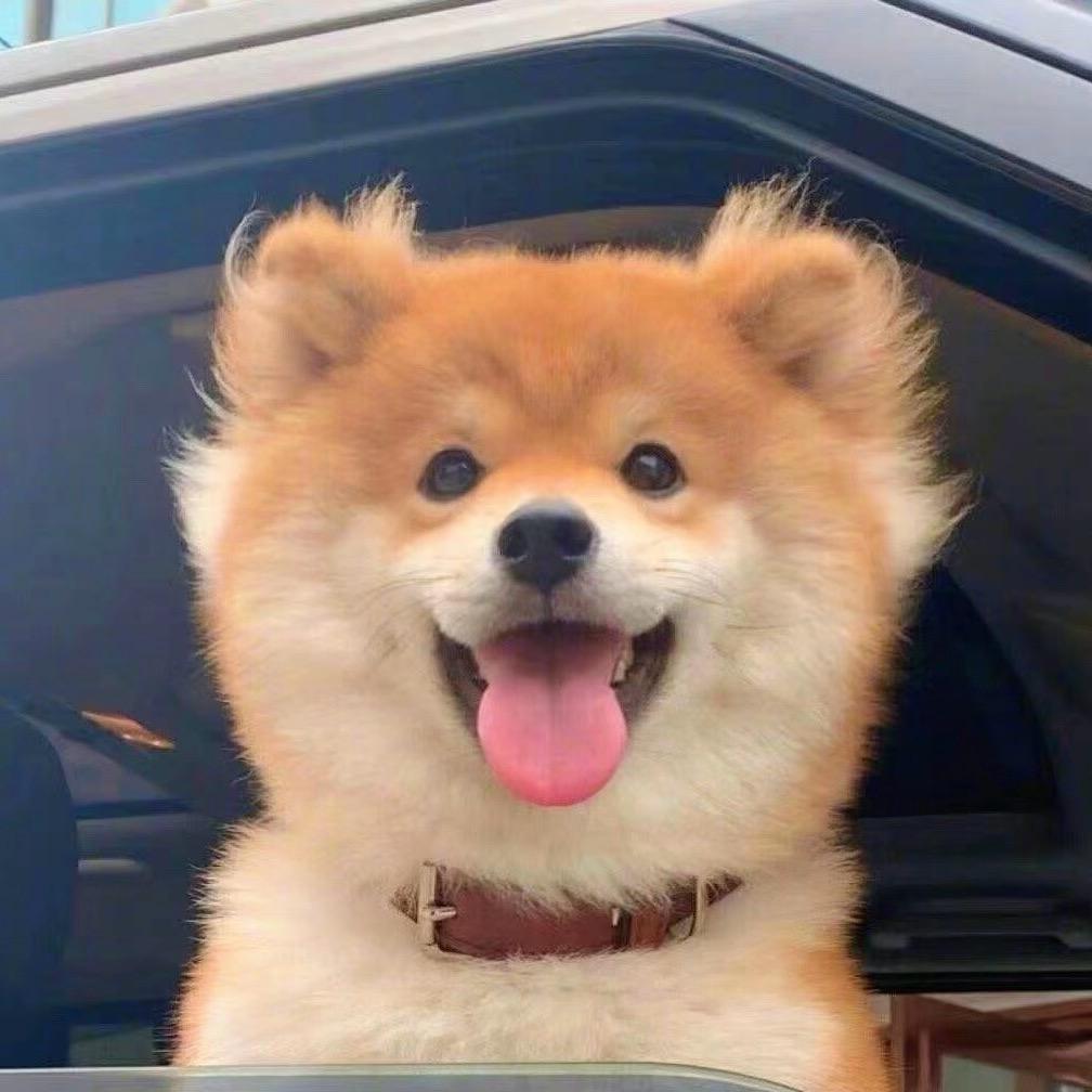 丢