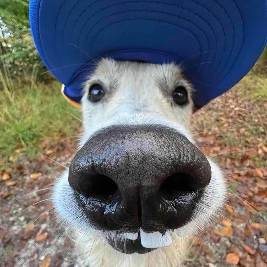 想通以后倒头就睡