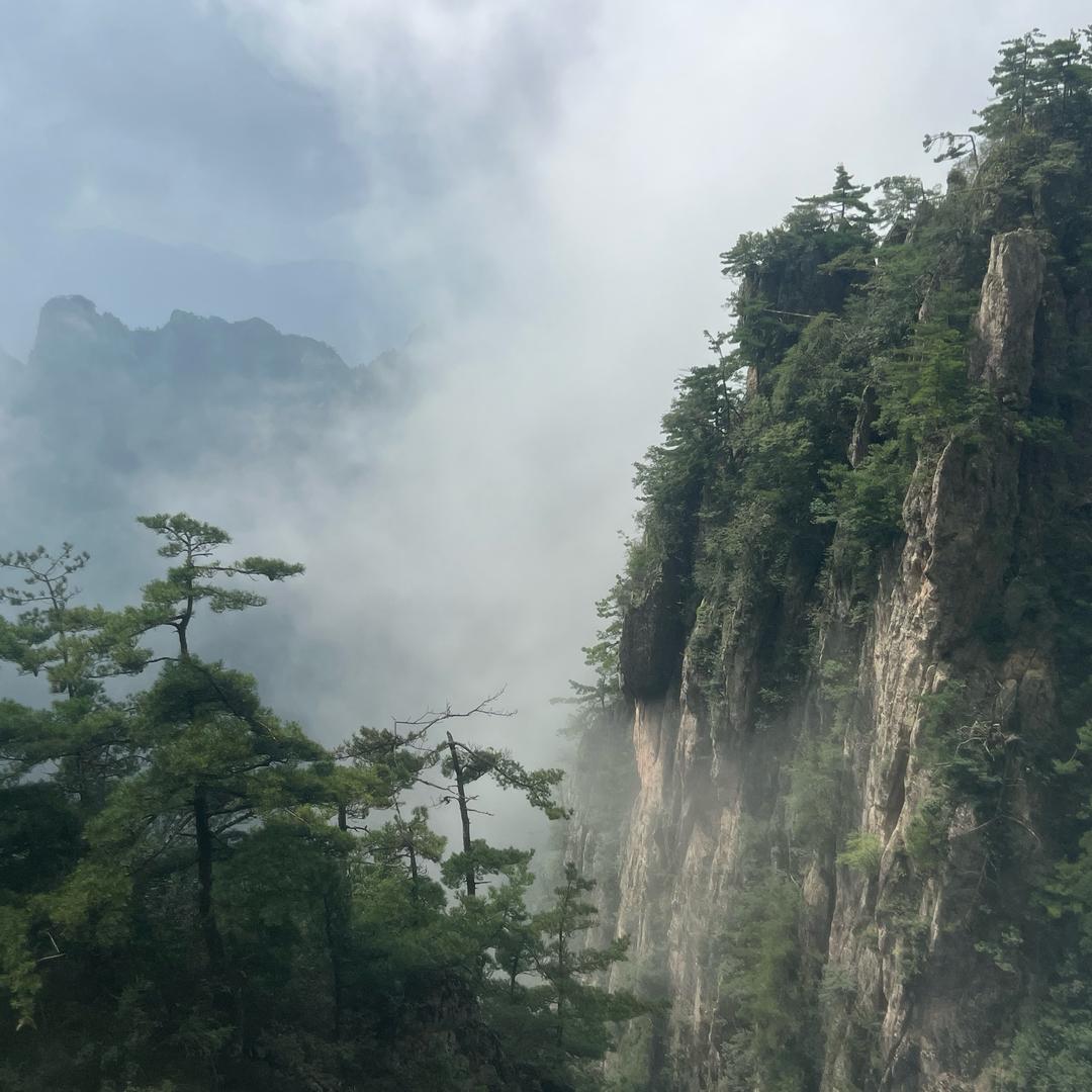 。。。。。。。