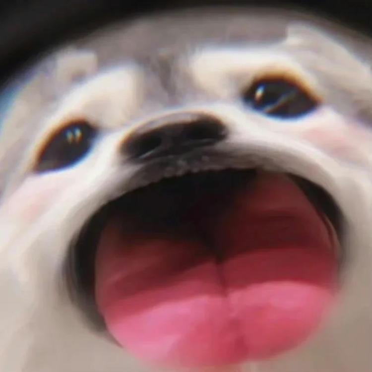 呆皇O.o