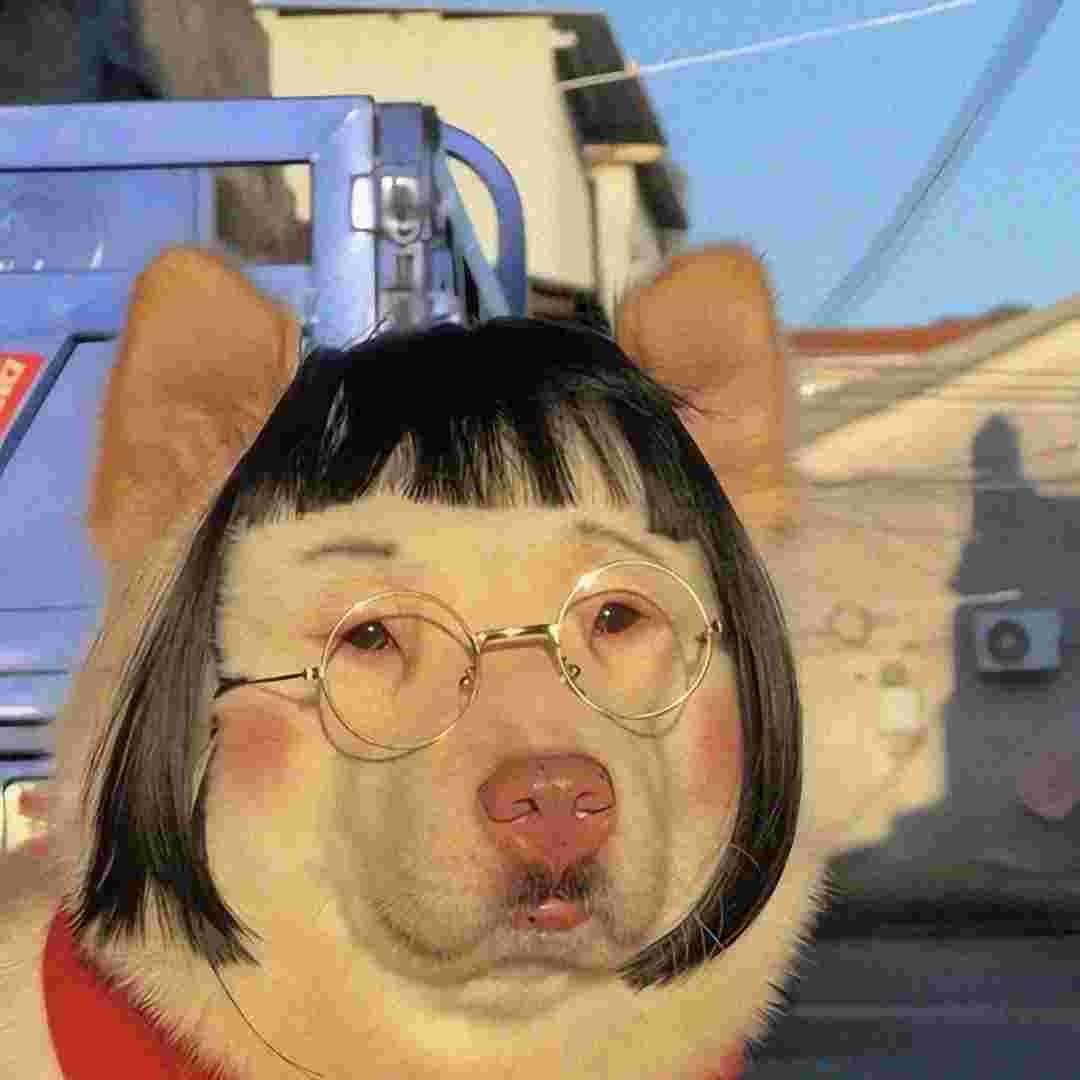 麻瓜打工日记🤡