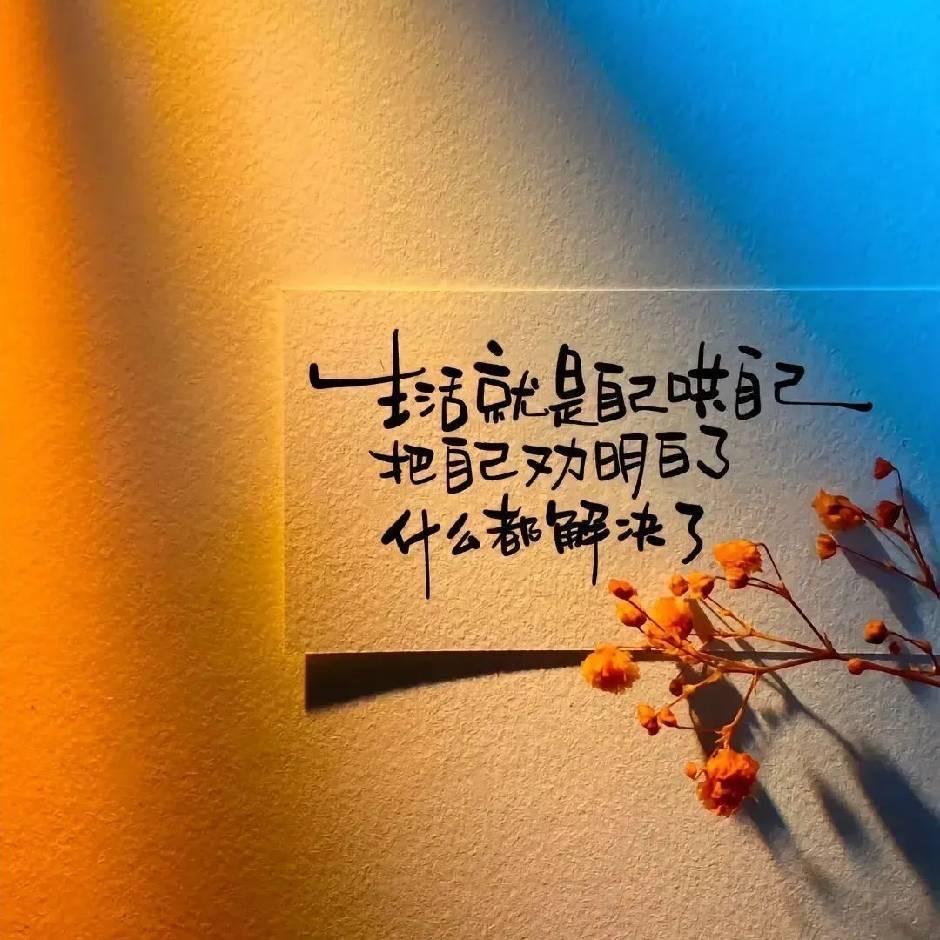 এ᭄ღ阮᭄℘࿐ᩚ۵