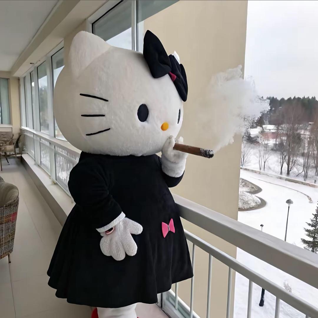 我不是病猫^ ʚɞ^