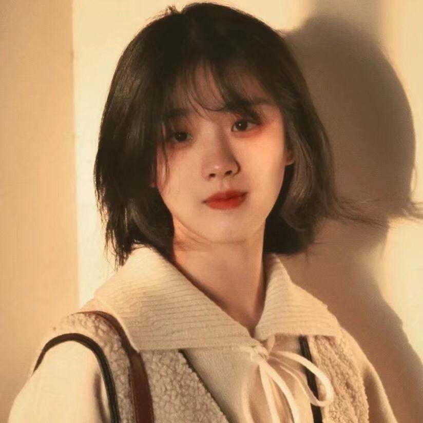 胡同里的三只猫