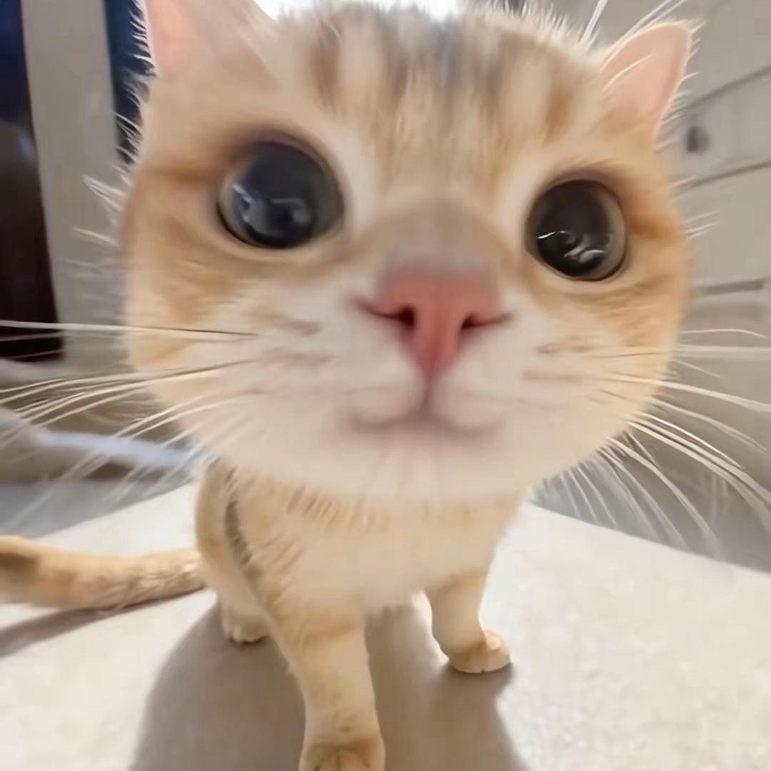 和你几分熟^
