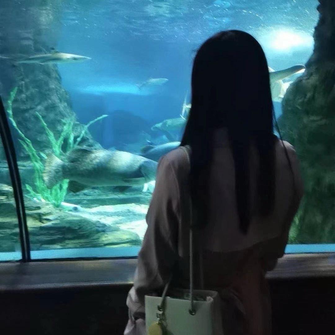 清风烟雨巷🌧️