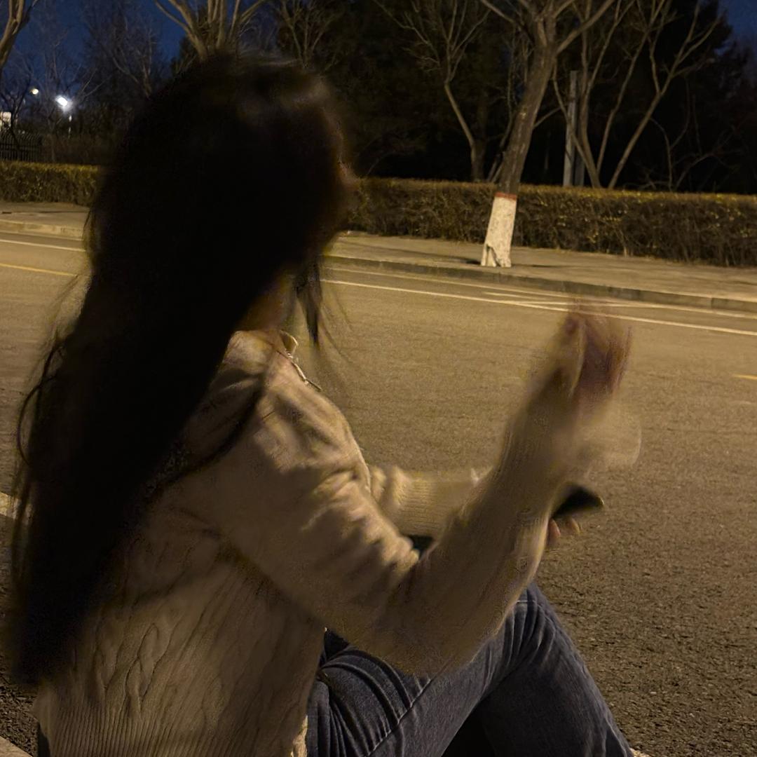 飞🐷