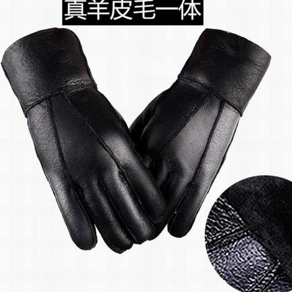 海阔天空你的梦