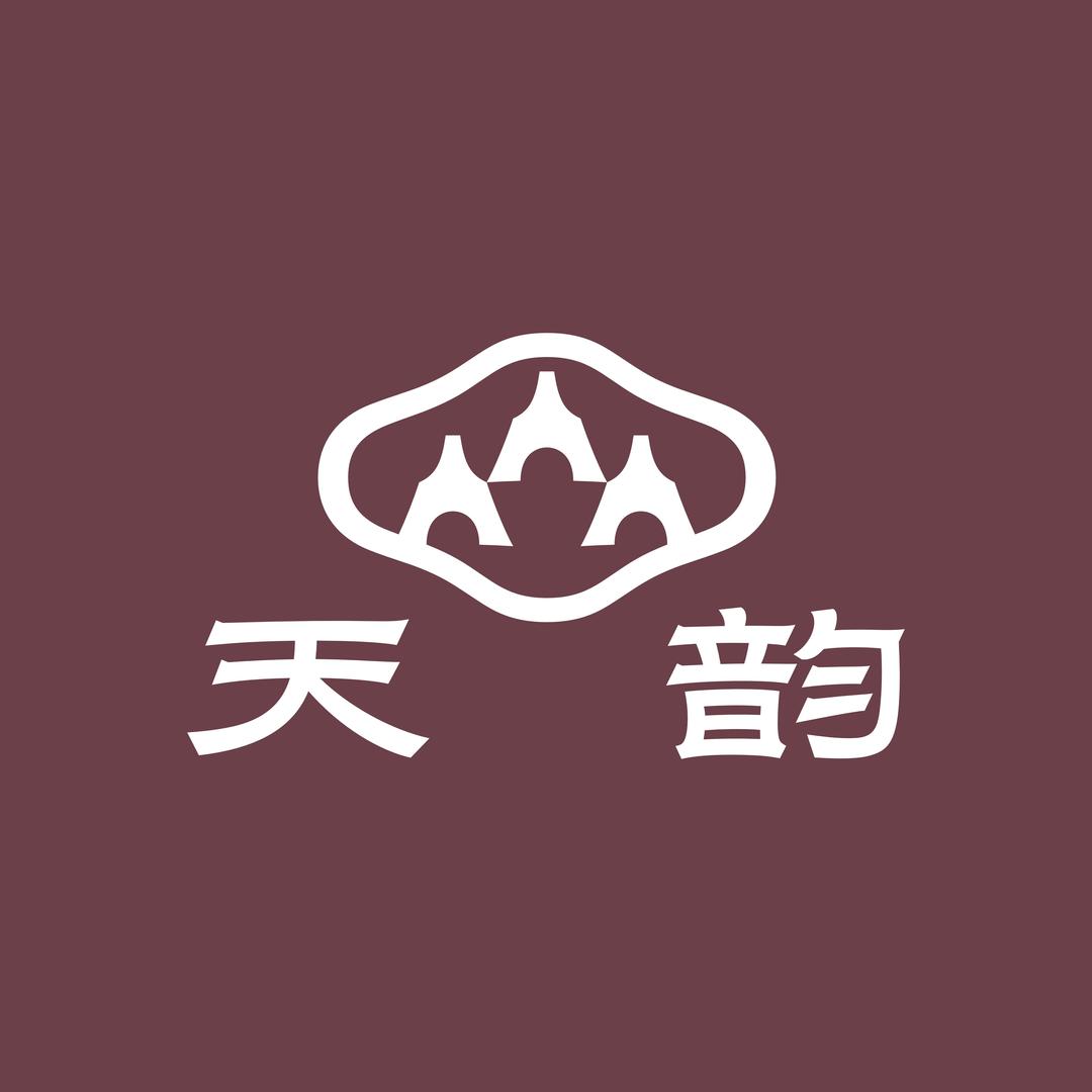 天韵盈韵乐器专卖店