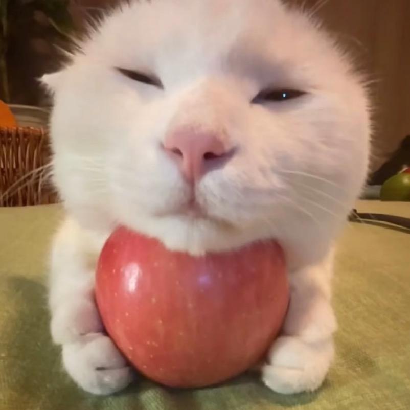 不要问我好不好