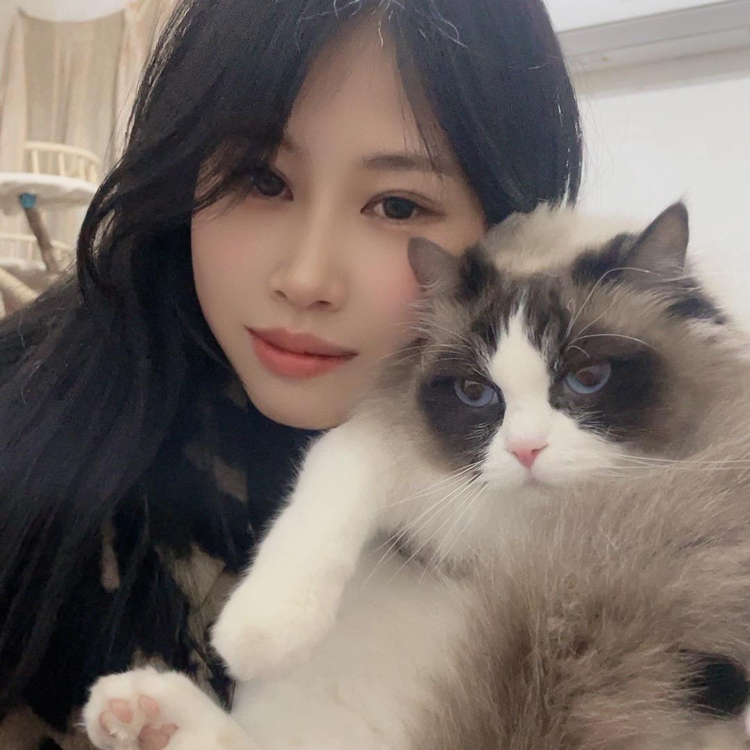 雪鱼妹妹