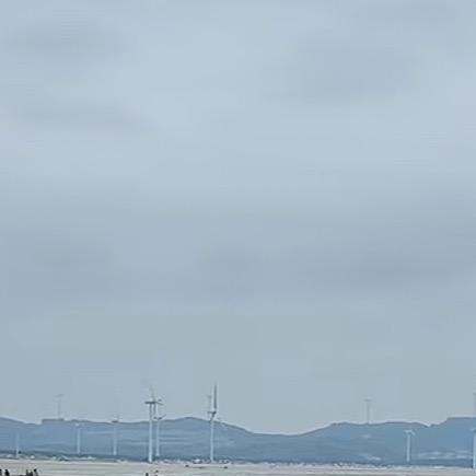 刺猬