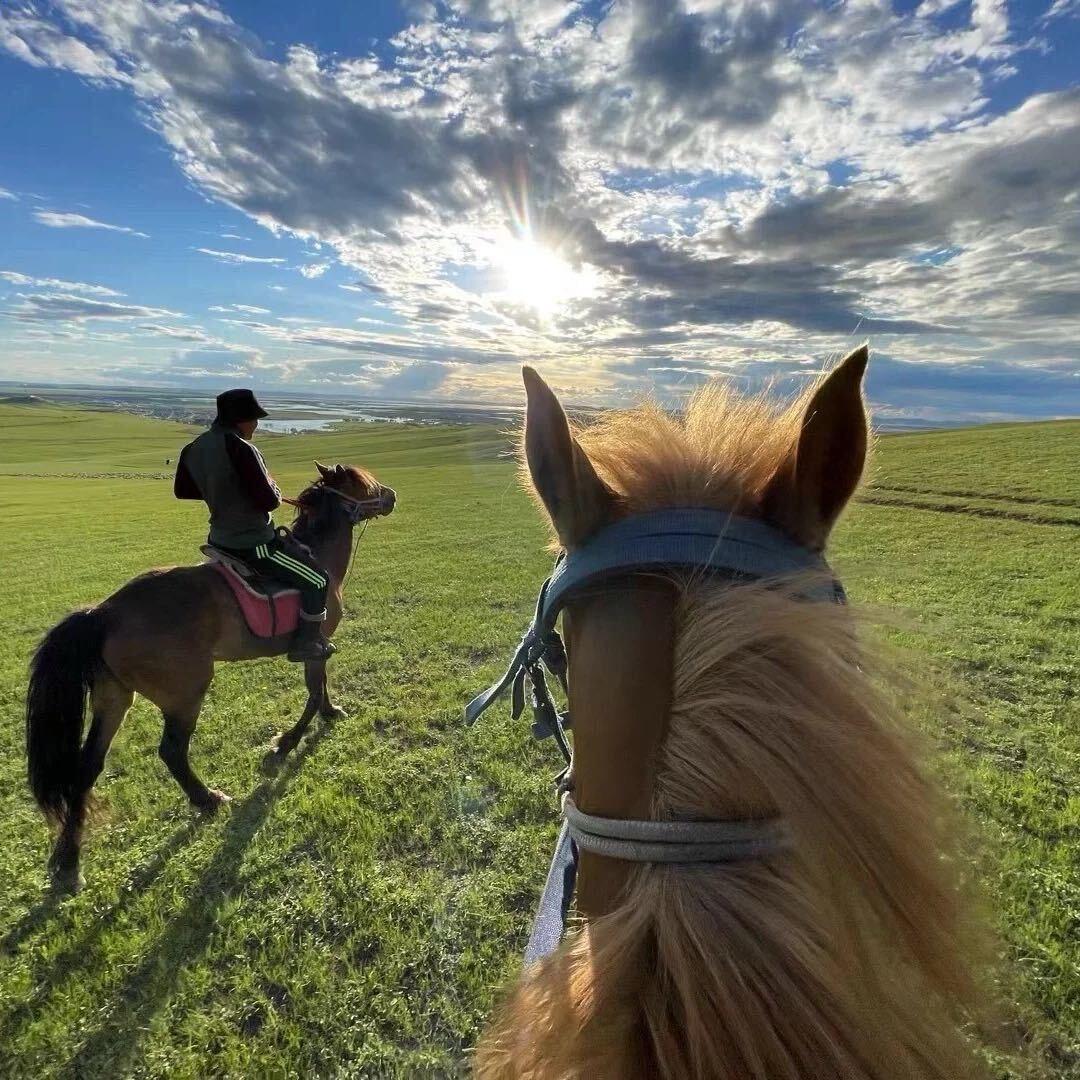 张学远（天津专升本)