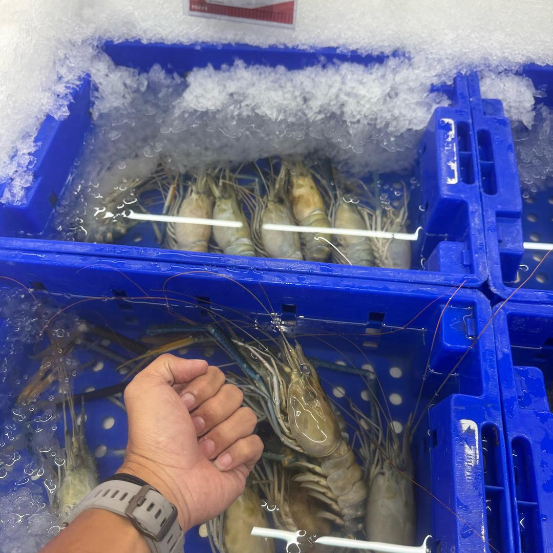 阿茶叔叔（钦州制造）