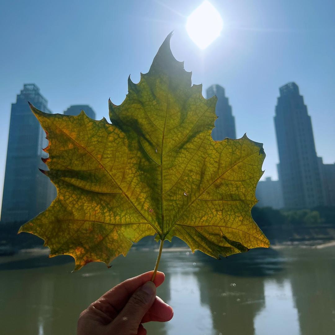 💦水世界💦好运来💦