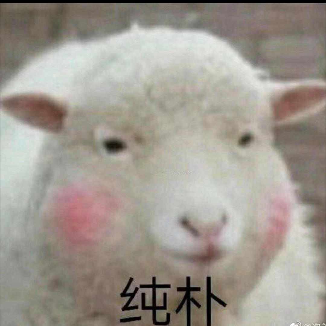 。.......5