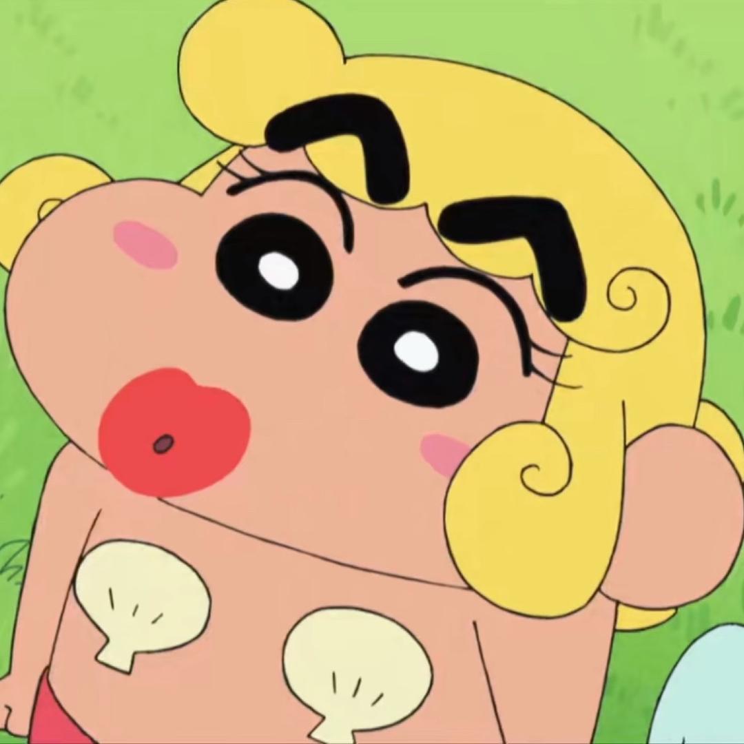 知赵