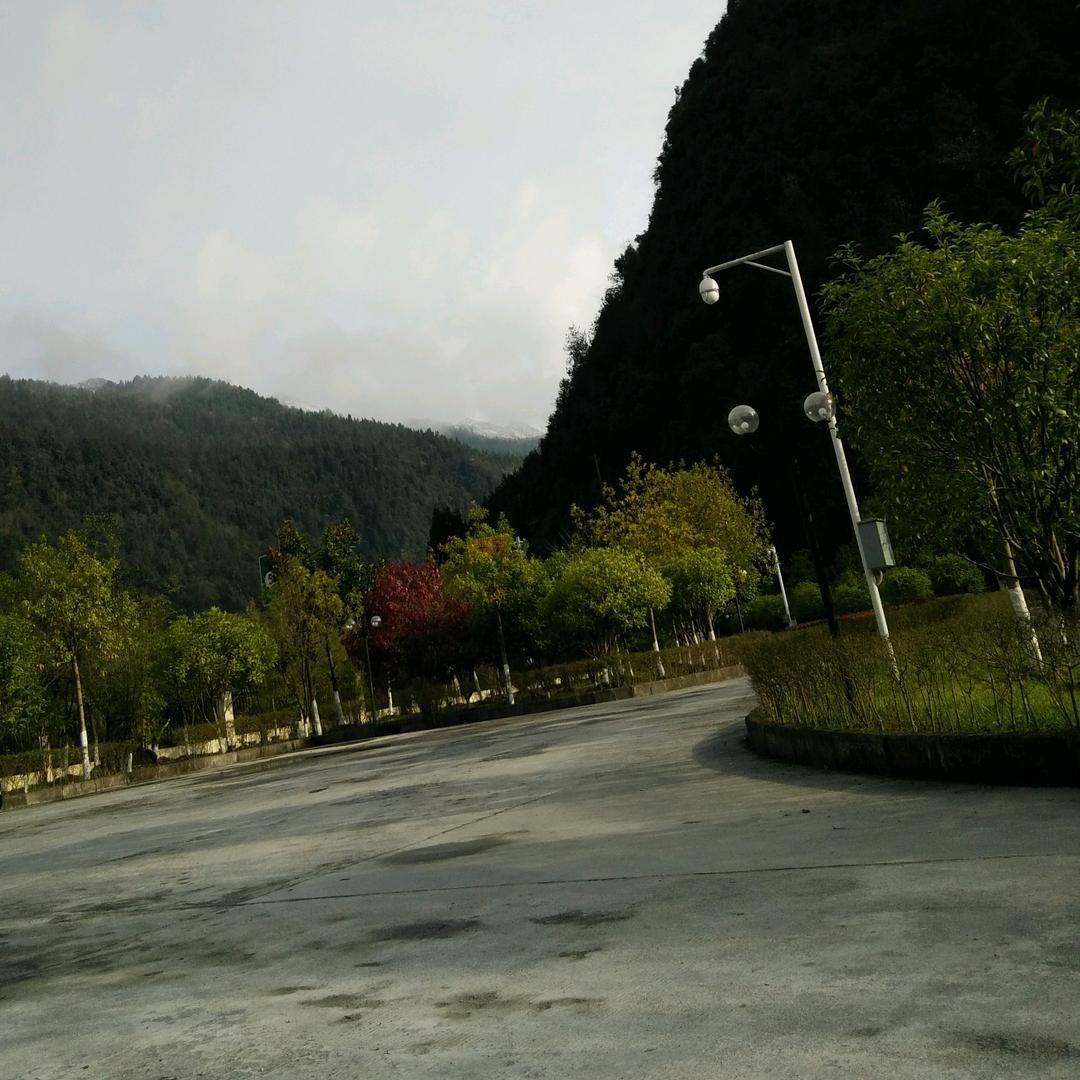 YUWEI