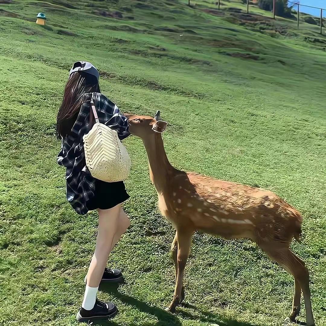 小泡泡.🫧