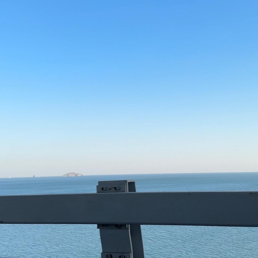 看见猫就逮.