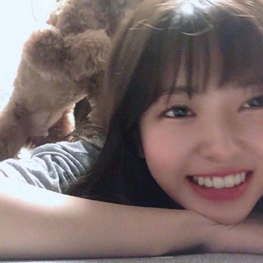 宅猫