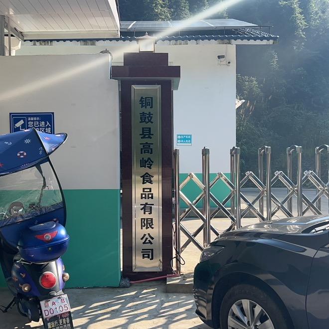 轻松过客