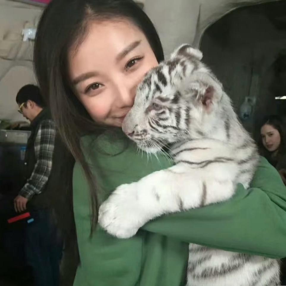 小小小鹿