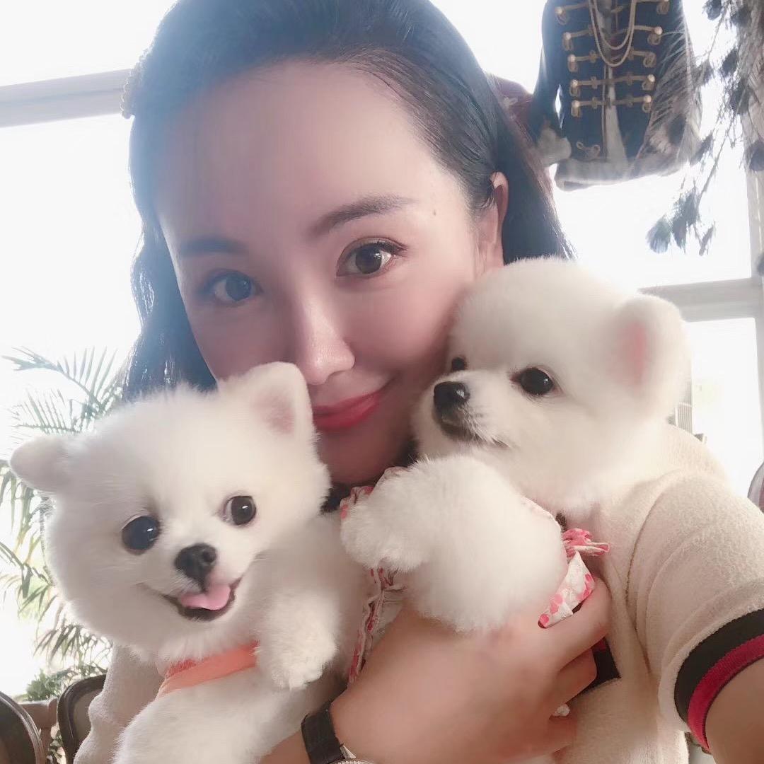 一时茶的安迪🐶美金🐶