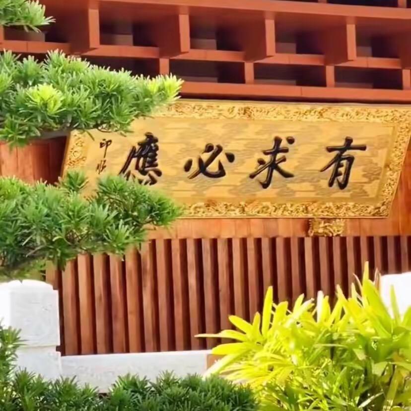 圆圆说鼠🐭