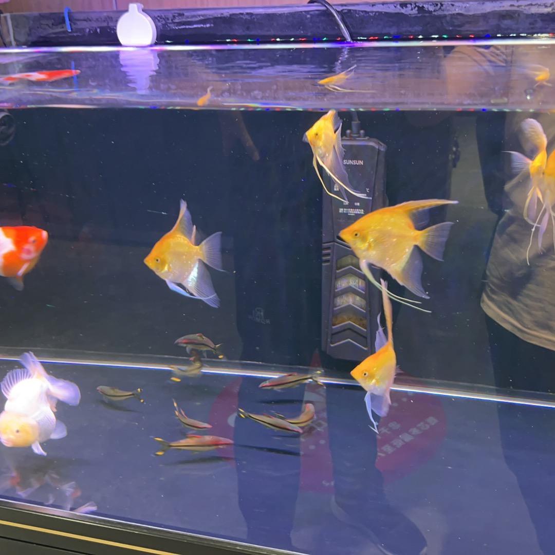 江海风情