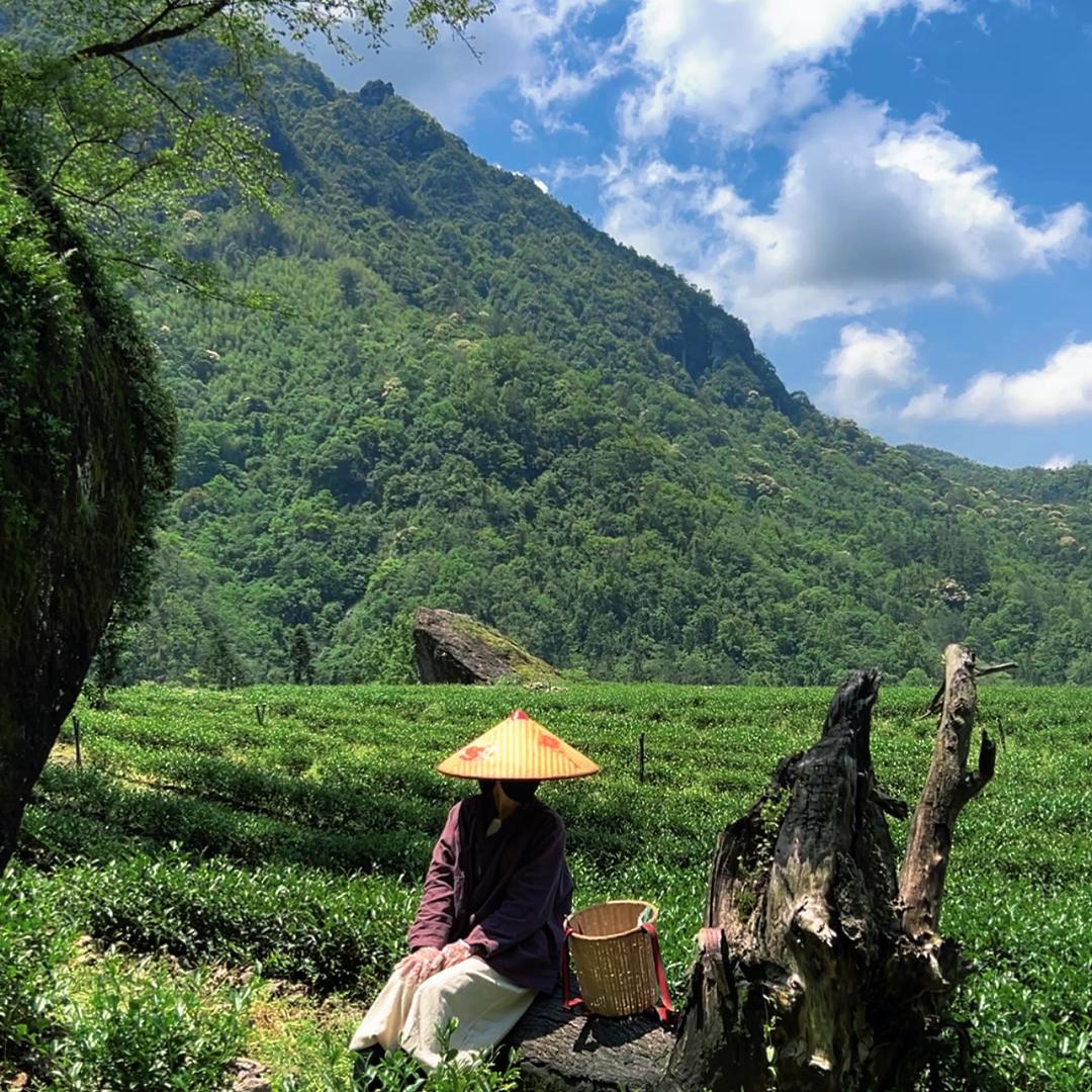 槿泰岩茶业