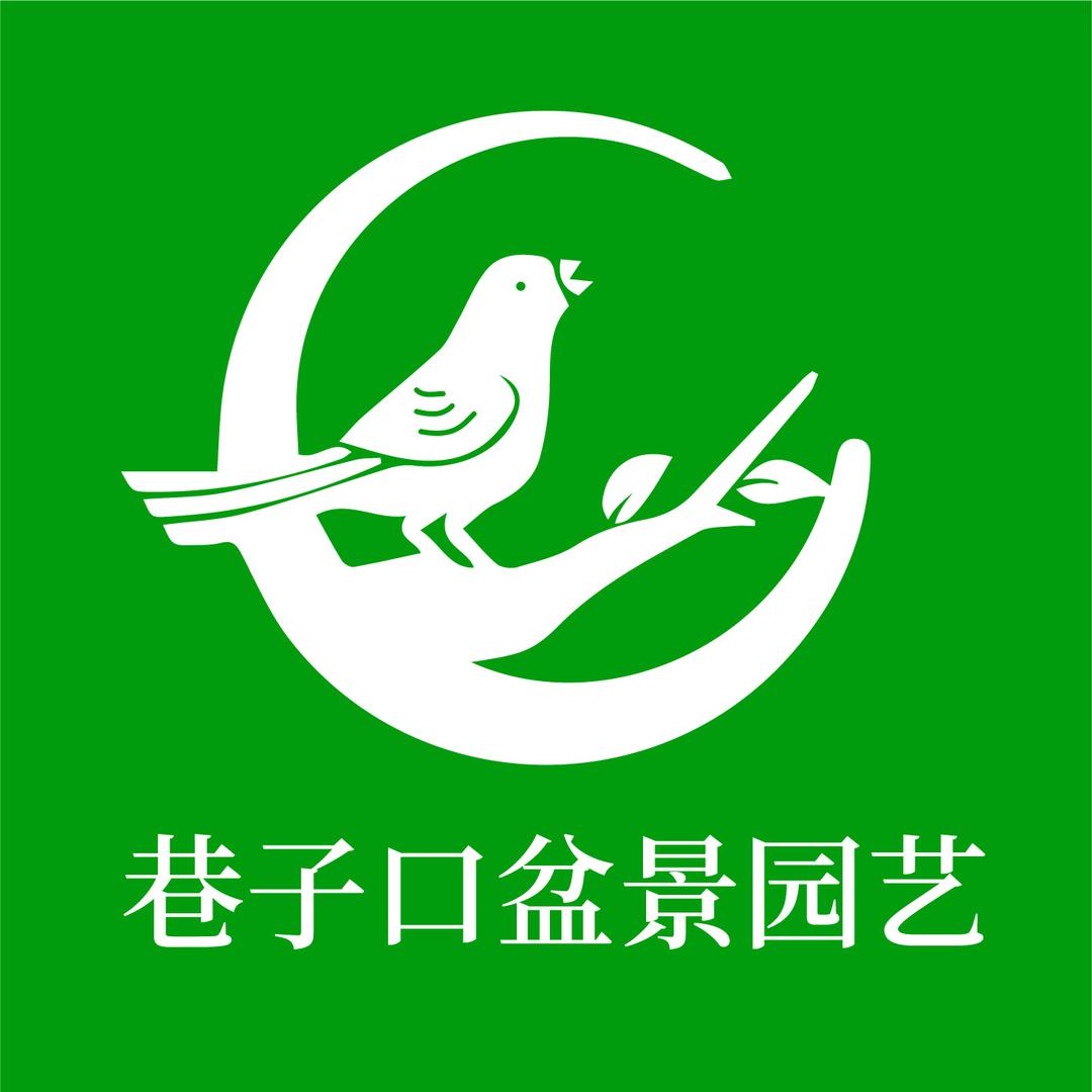 宿迁巷子口贸易有限公司
