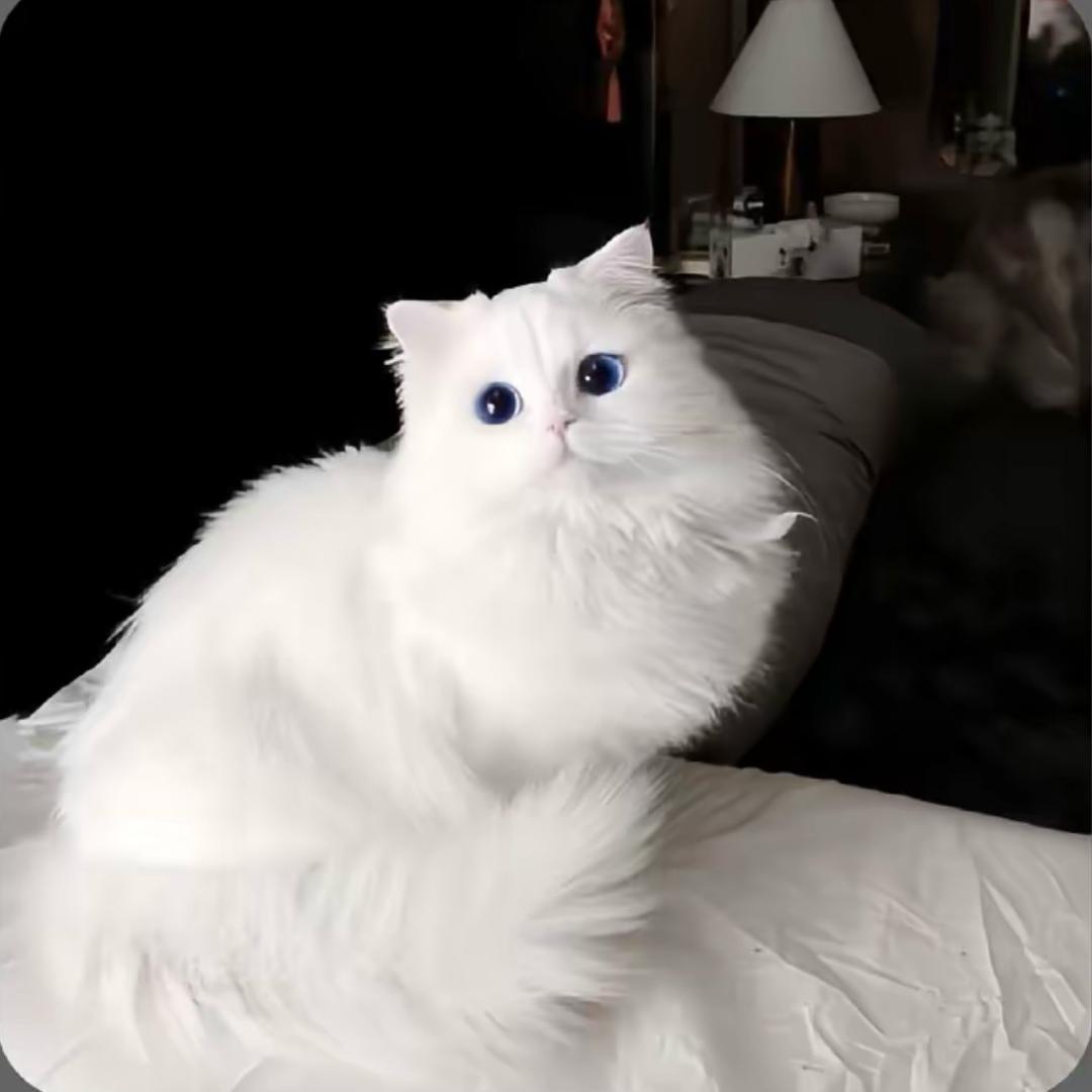 二十九的朋友圈.