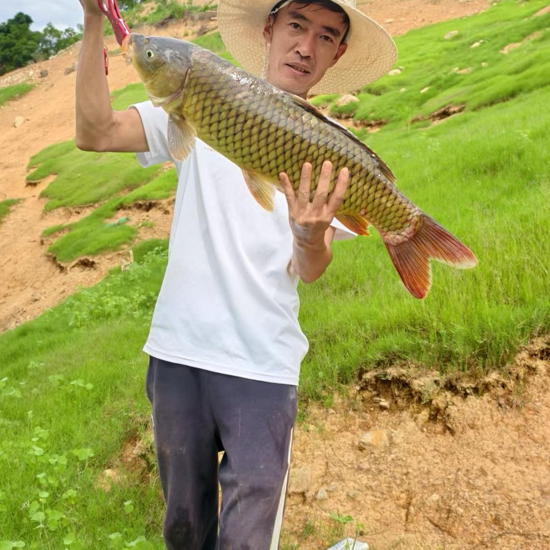 万峰时光野钓山庄