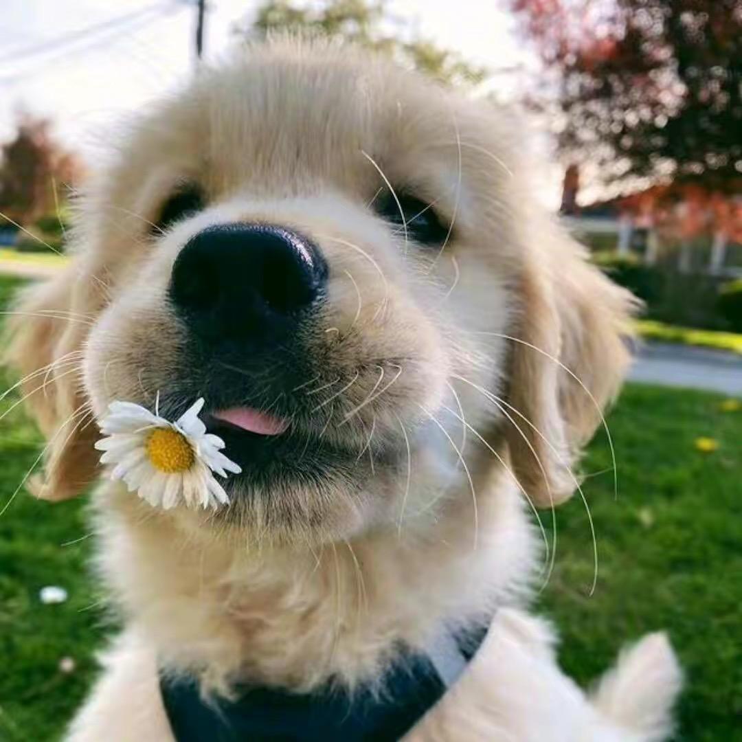 小熊