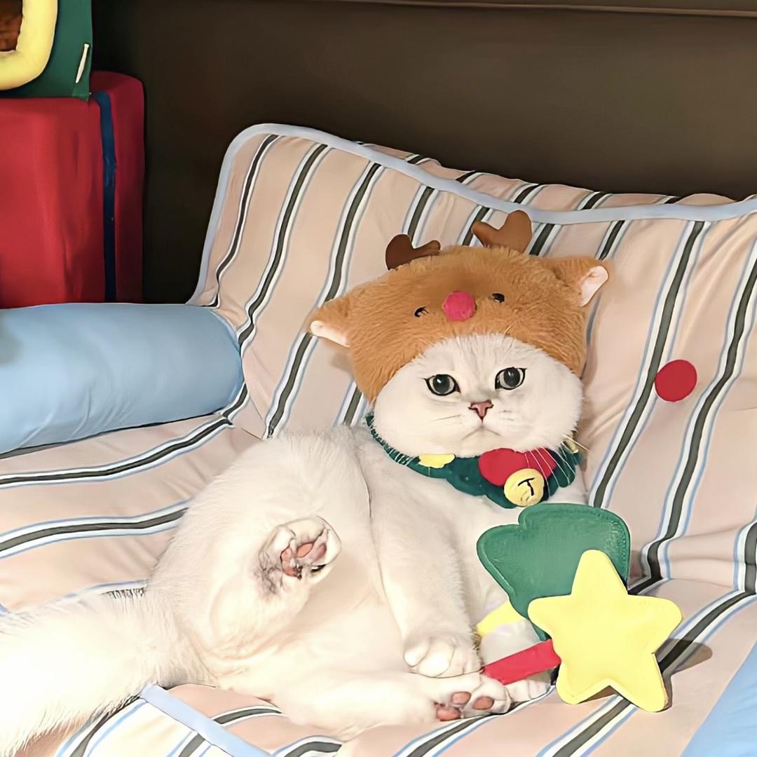 发亿.小财⁸