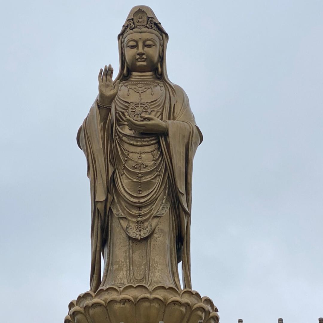 易转乾坤
