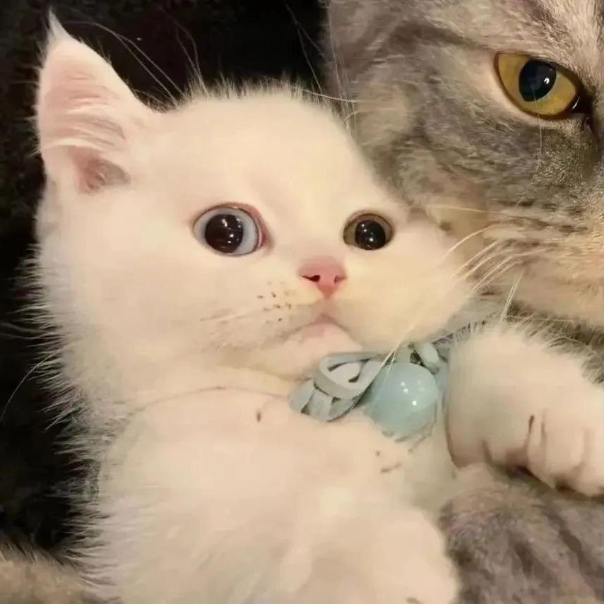 想要躺平的科研菜鸟