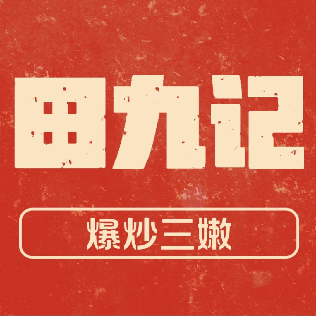 田九记爆炒三嫩官方号