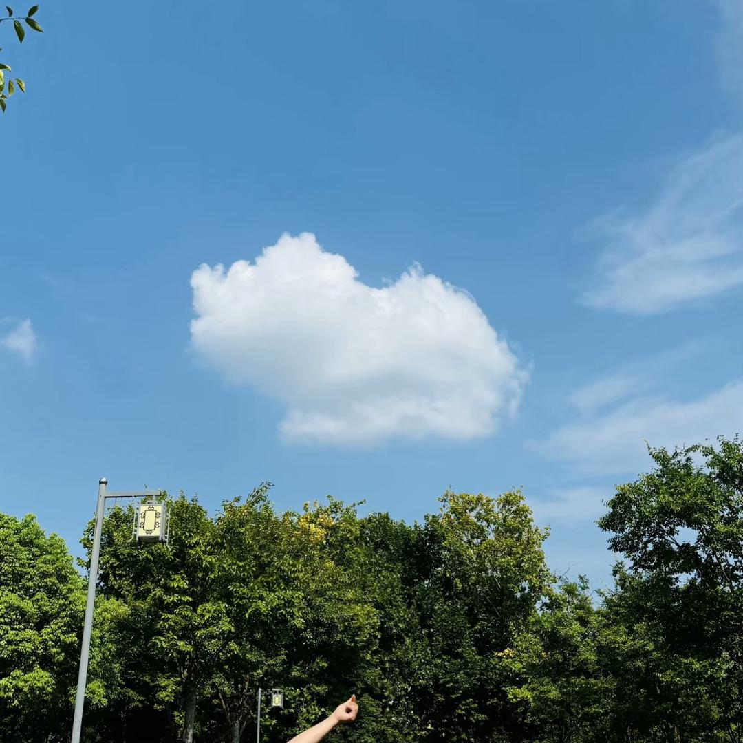 慈利二手房买卖（小丽呀）