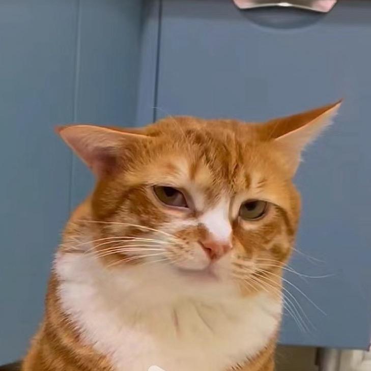 薯条加冰可乐（被禁言限流中