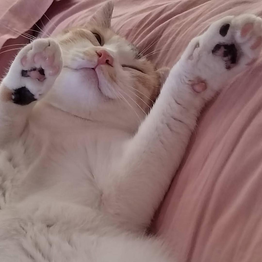 啦啦啦，，，