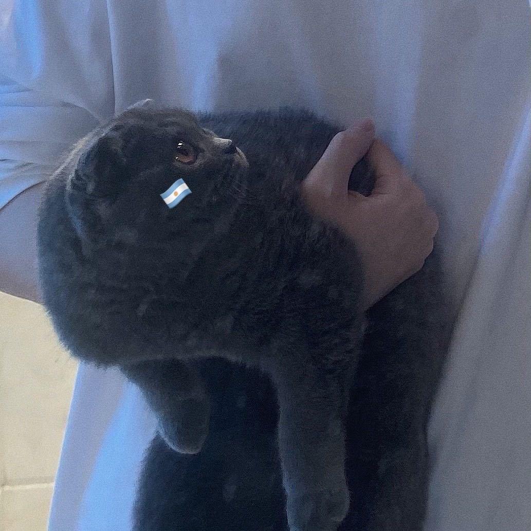 哀悼罐头