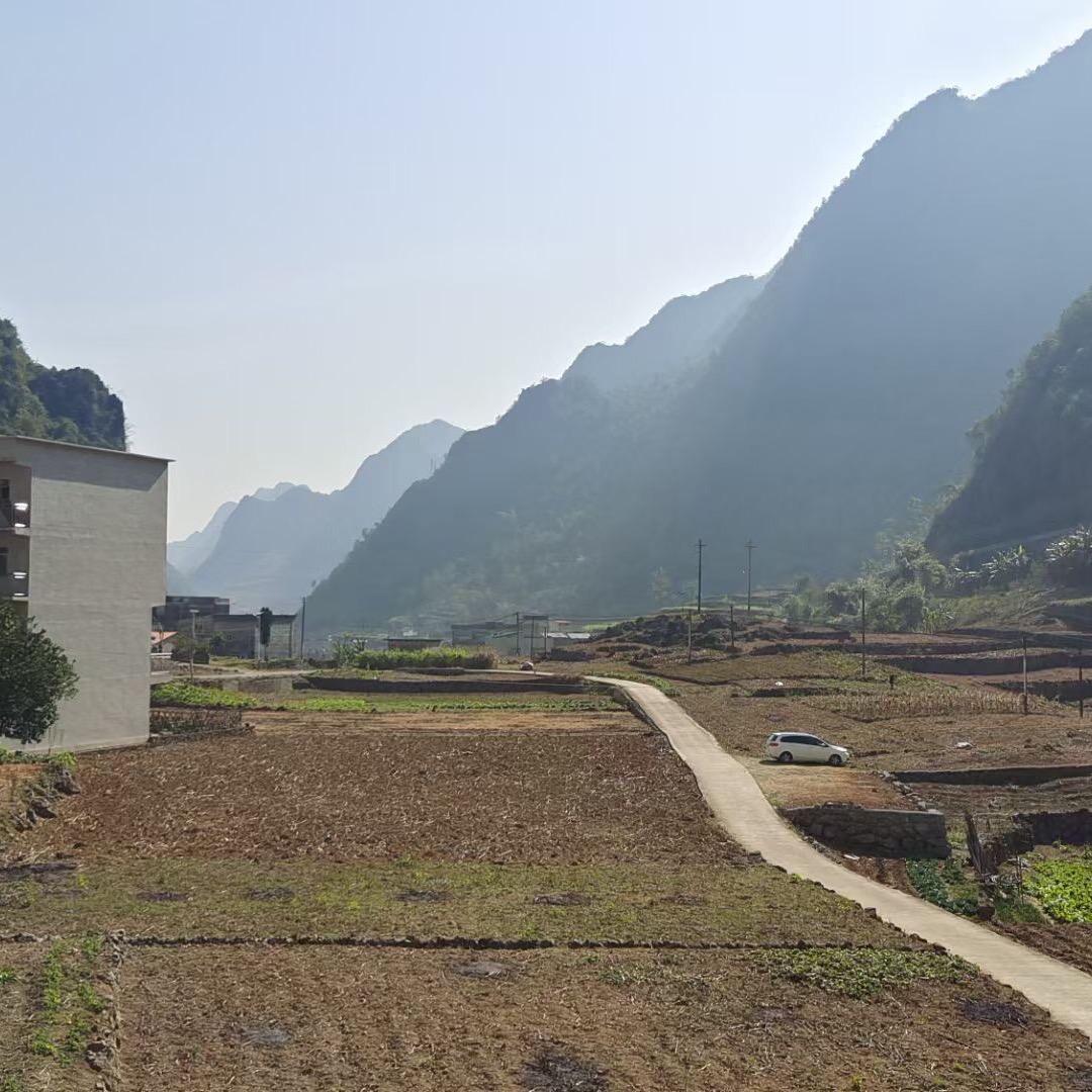旺旺小黑