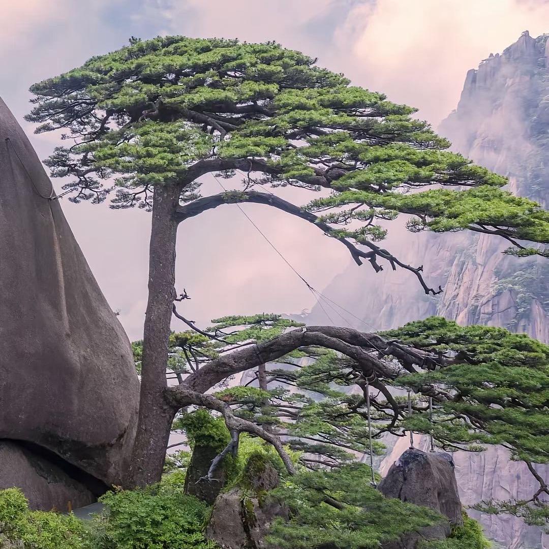 黄山旅居推荐官东东