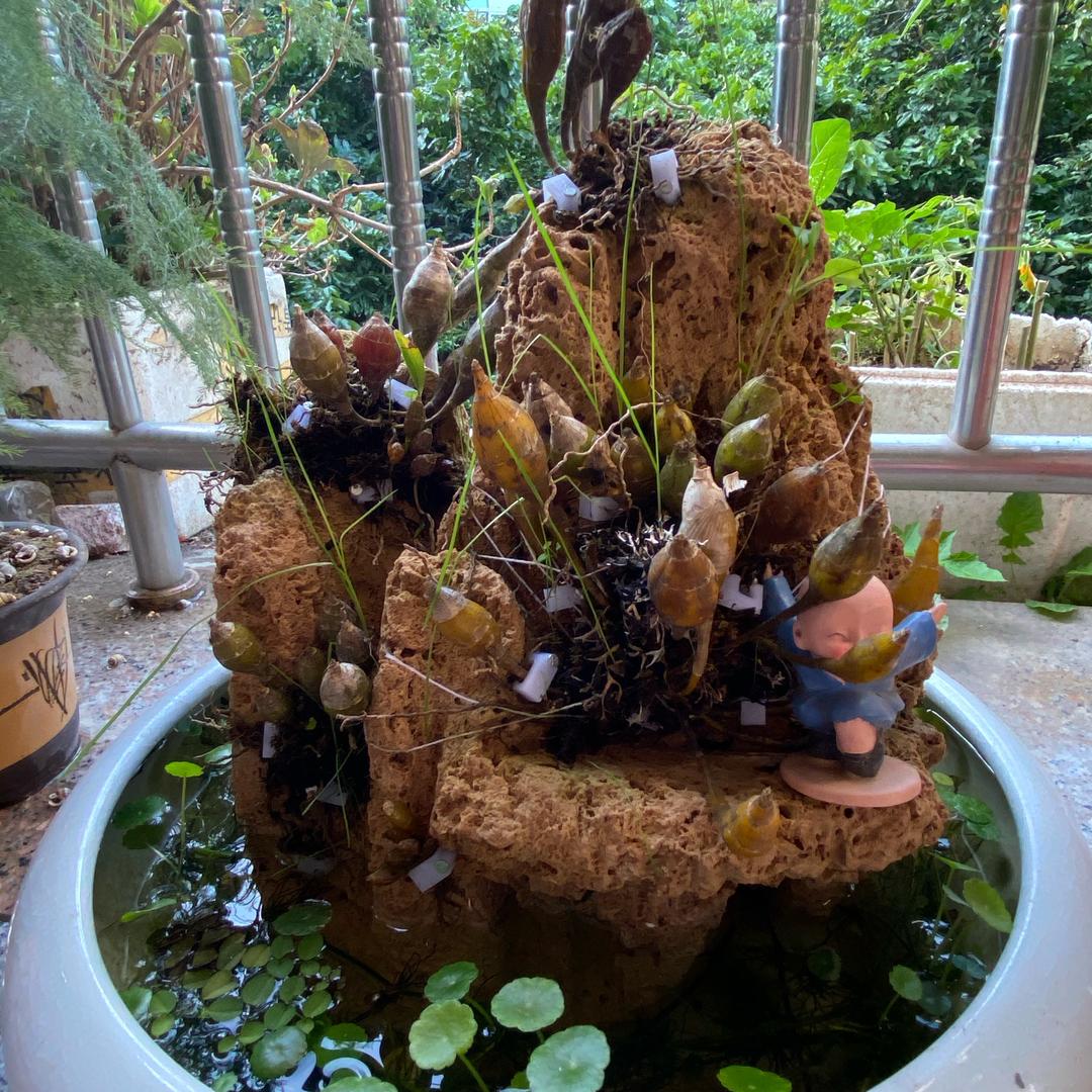 陈德